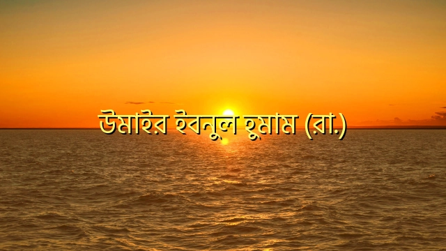 উমাইর ইবনুল হুমাম (রা.)